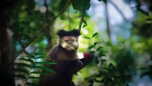 Arriba Misiones | Información, cultura y comunidad