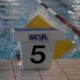 piscine_cnp