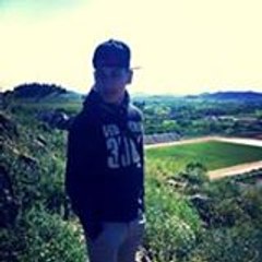 kiestleplusfort