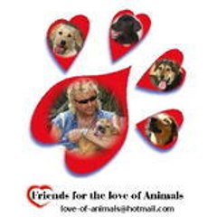 for-the-love-of-Animals