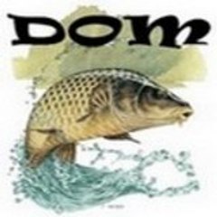 pe dominique