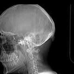 les films de la voie rapide