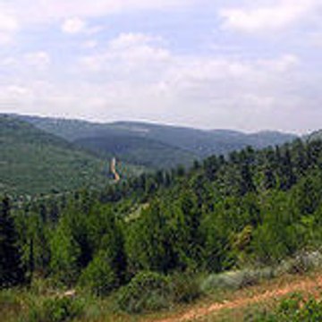 rambam44