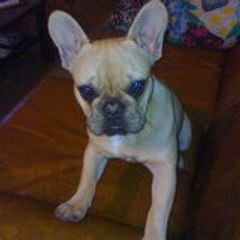piwindindon