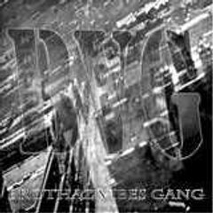 BVG Gang