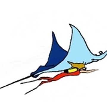 MANTAS BAVARD