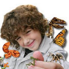 Enzoology