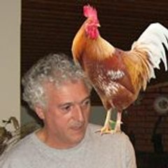 João Afonso