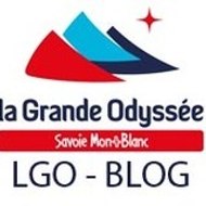 LGO Blog