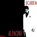alpacino95380