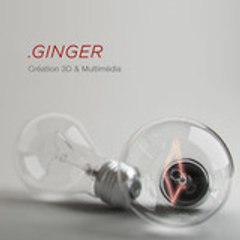 Ginger3D_Paris