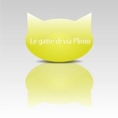 Le gatte di via Plinio