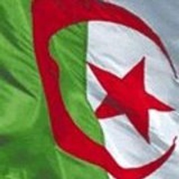 rafik76500 rafik76500