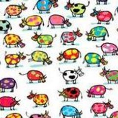 Pop0po
