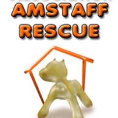 Amstaff Rescue