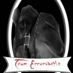 La Team Errorcket(e)