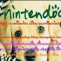 accroanintendog