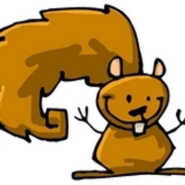 Risu-mo_ki-kara_ochiiru