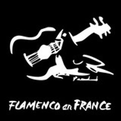 Flamenco en France