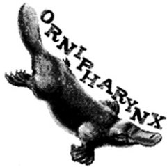 Ornipharynx