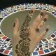 NOURFEDALA