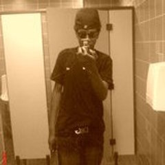 timal509