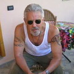 STEVE BRADIGAN