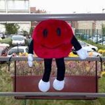 Mr Patate