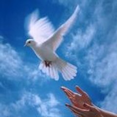 لا اله الا الله