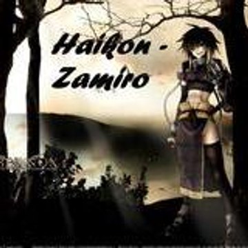 Haikon-Zamiro