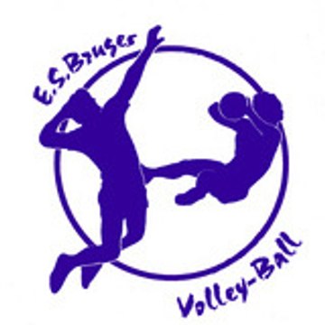 Bruges volley