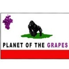 Planet of the Grapes