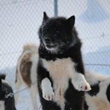 gilles poublan-miquelot gilles