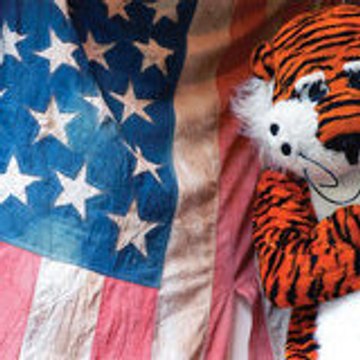 toptiger4
