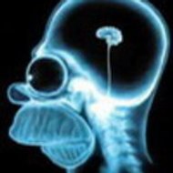 http //mabs.musicblog.fr