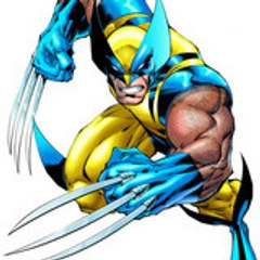 akiraxam
