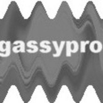 gassypro