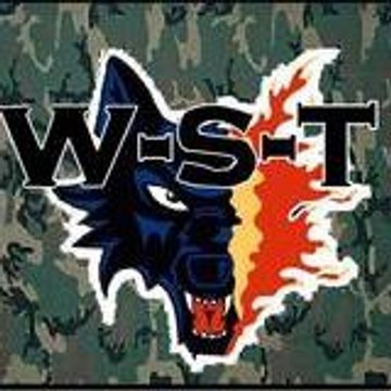 wolf-soft-team77