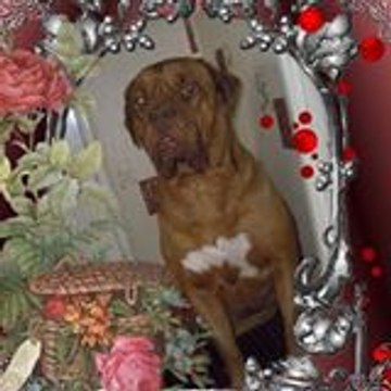 Marie France Gousset