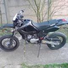 stuntseck