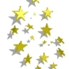 L-user
