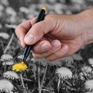 Amatör Şarkılar Muhteşem Sesler