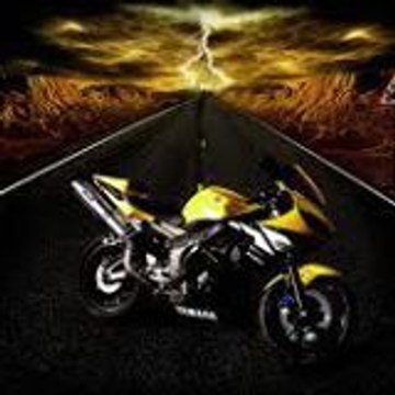vidalasr6