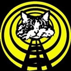 fatcatradio.com