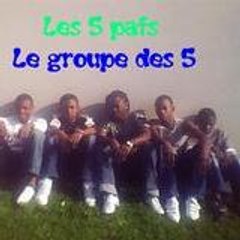 Les PAFS