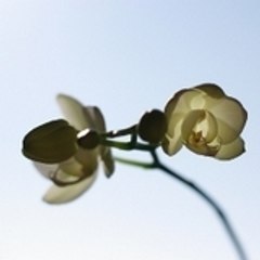 webMarinaJC