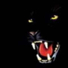 TartifletteCaniforum