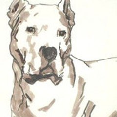 rage-dogo