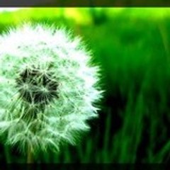 xall_these_thingsx