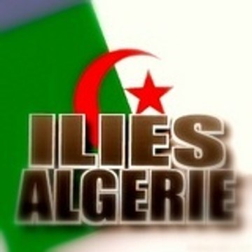 illies-du-76